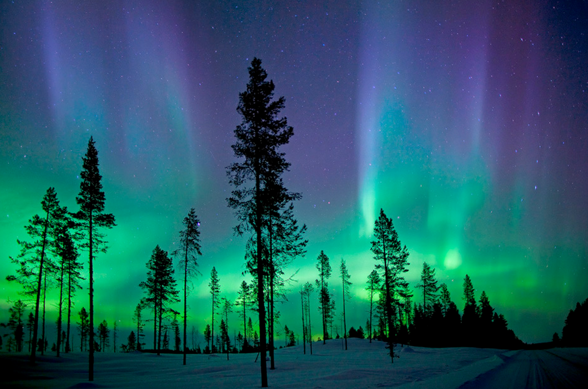 Northern Lights Aurora Borealis in Kiruna, Sweden  Swedish Traveling, Culture  More Adventures